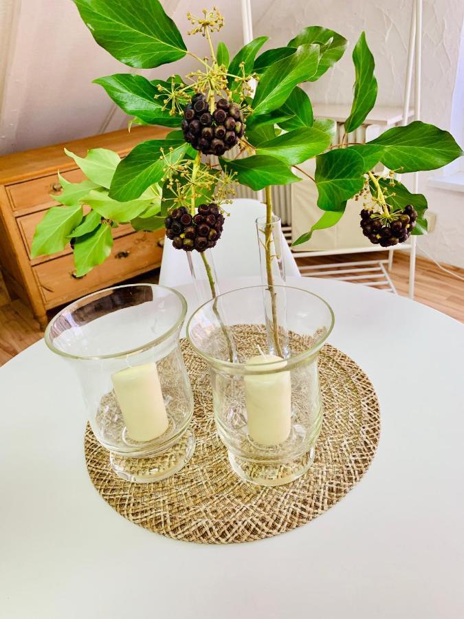 Studio Apartment In Direkter Naehe Zur Uniklinik Homburg Homburg  Dış mekan fotoğraf