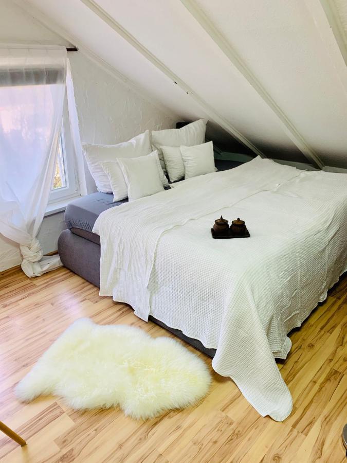 Studio Apartment In Direkter Naehe Zur Uniklinik Homburg Homburg  Dış mekan fotoğraf