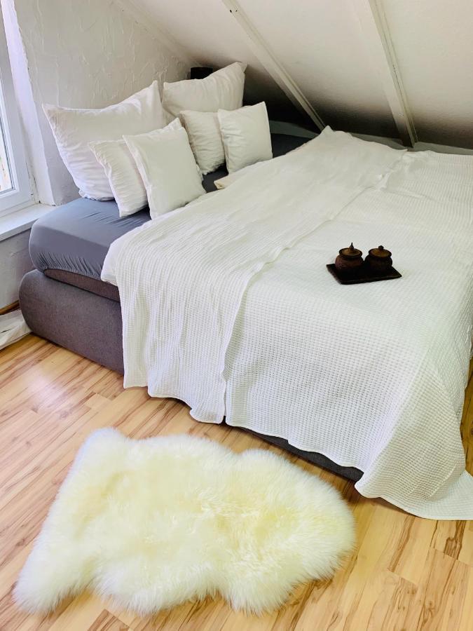 Studio Apartment In Direkter Naehe Zur Uniklinik Homburg Homburg  Dış mekan fotoğraf