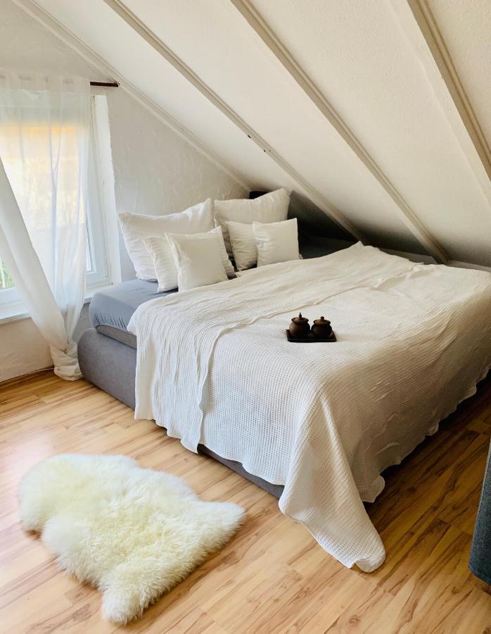 Studio Apartment In Direkter Naehe Zur Uniklinik Homburg Homburg  Dış mekan fotoğraf