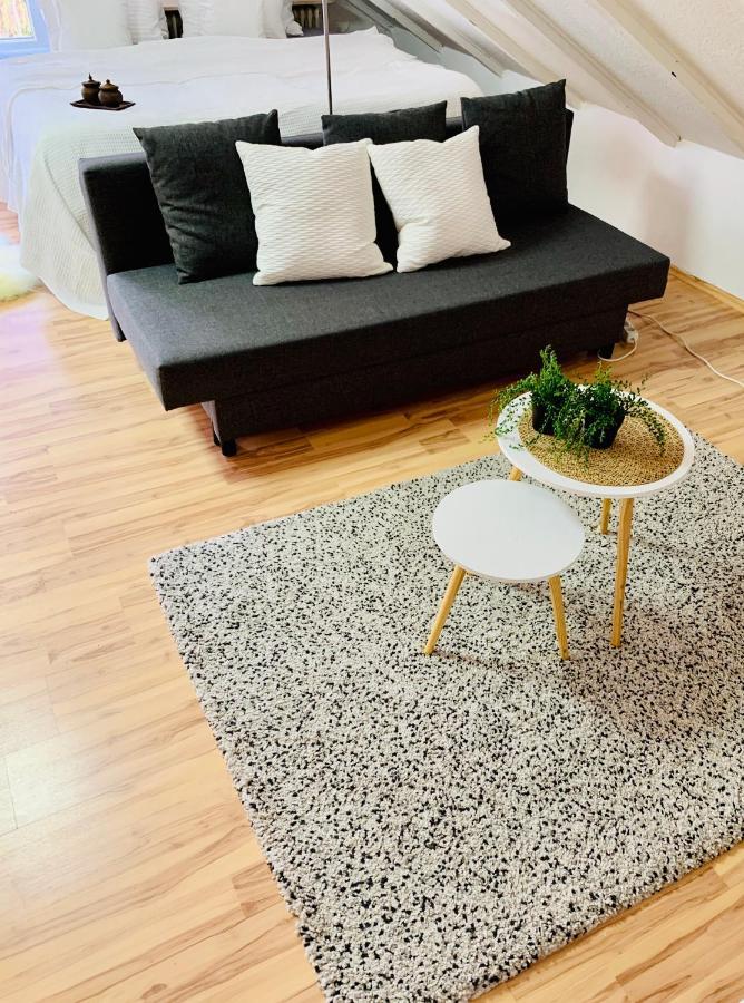 Studio Apartment In Direkter Naehe Zur Uniklinik Homburg Homburg  Dış mekan fotoğraf