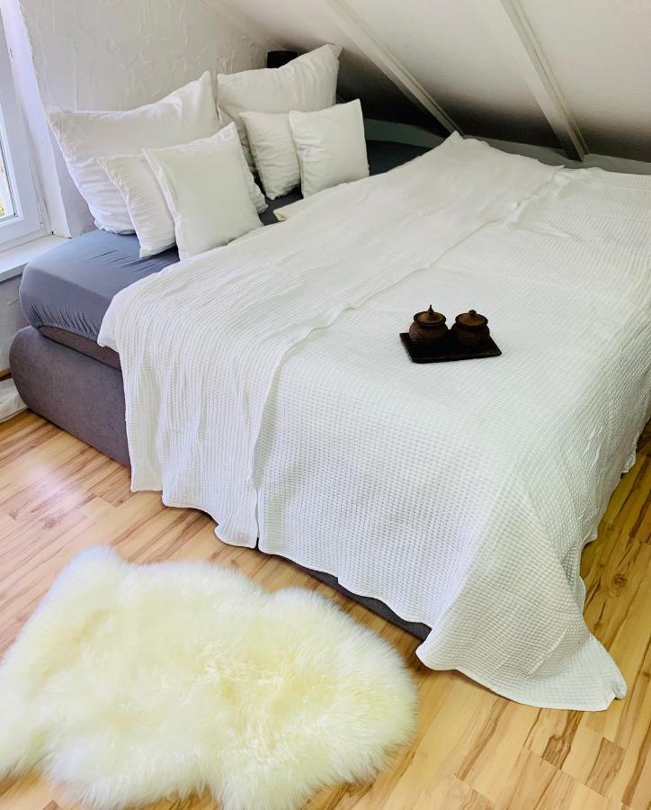Studio Apartment In Direkter Naehe Zur Uniklinik Homburg Homburg  Dış mekan fotoğraf